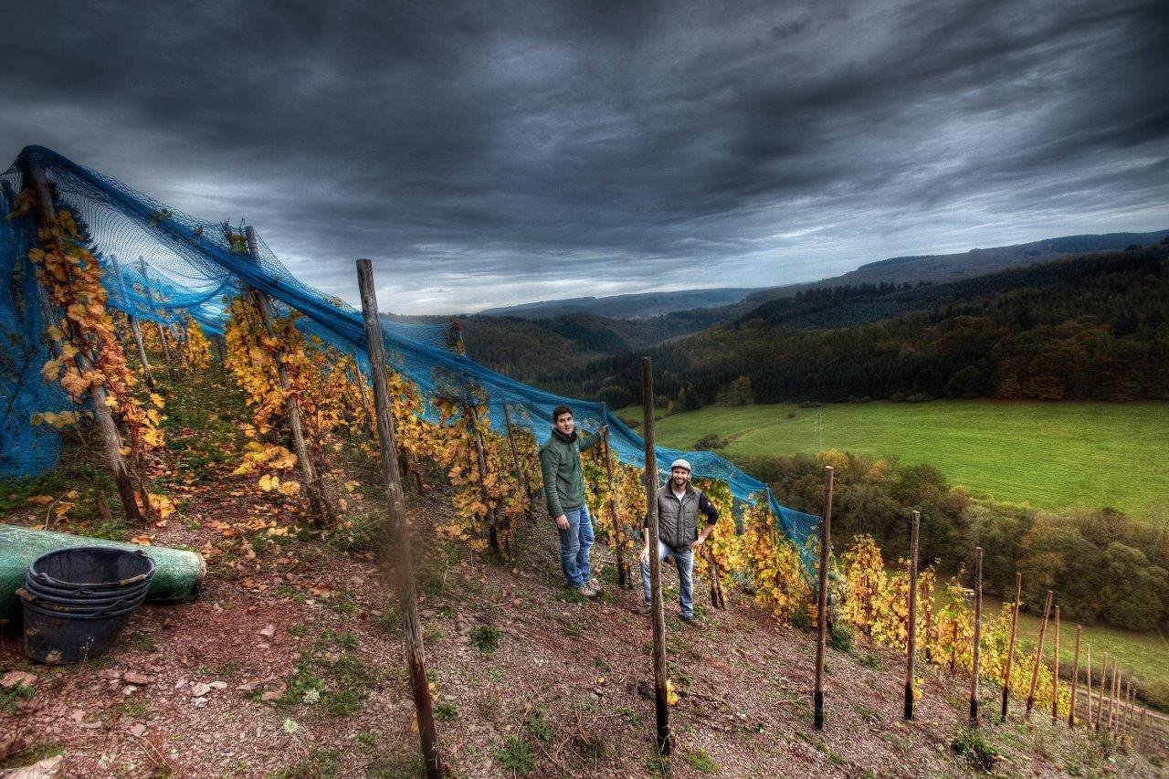 Sorentberg Riesling online kaufen